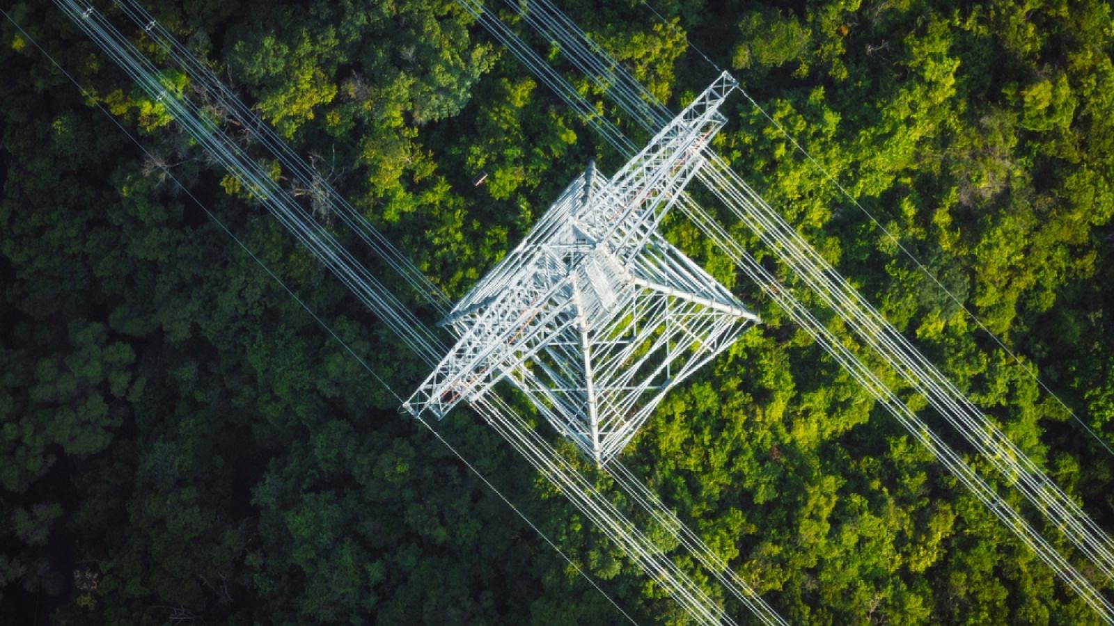 Shutterstock 2499557991