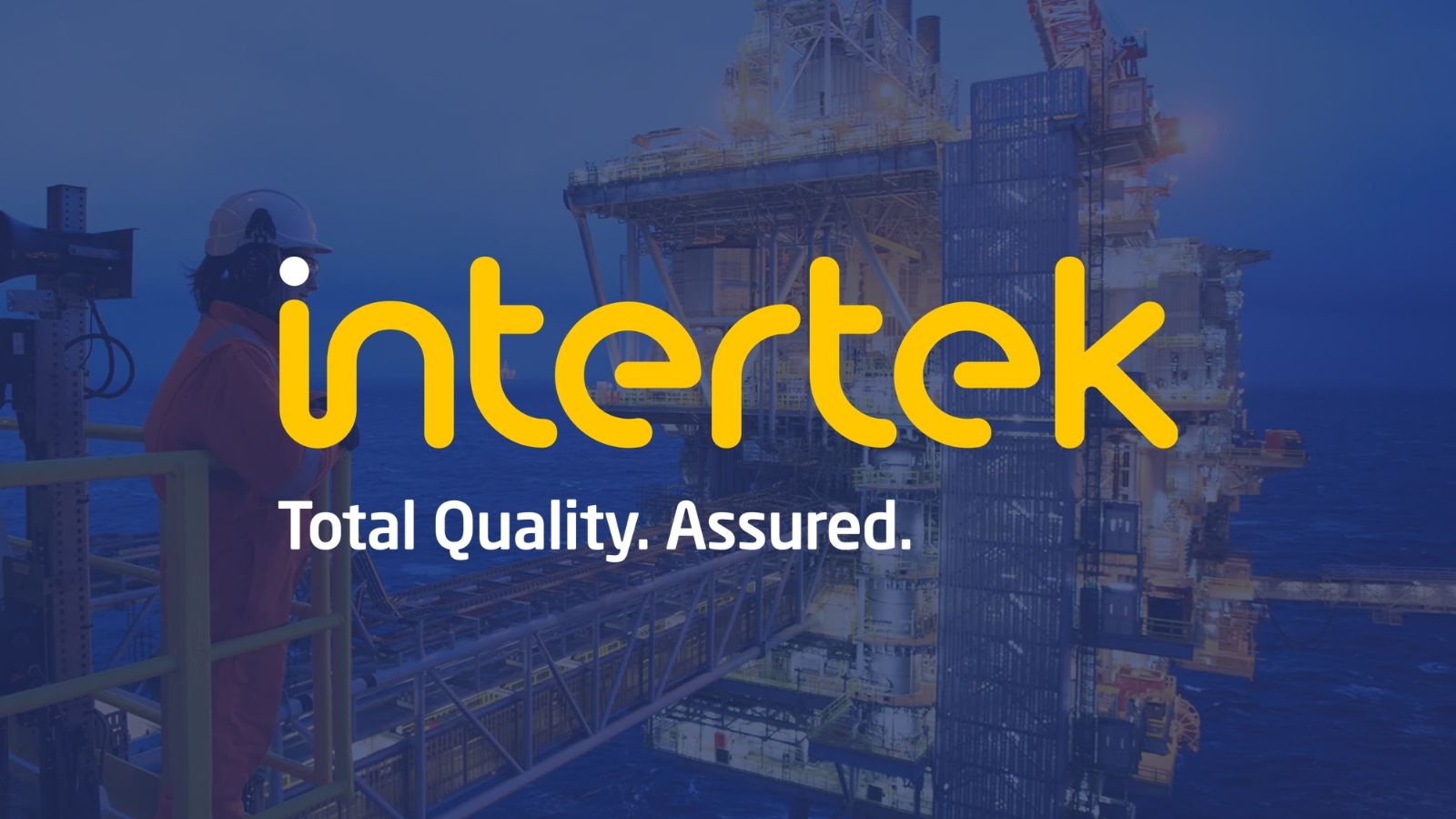 THE DAMNED TRANSITION 4