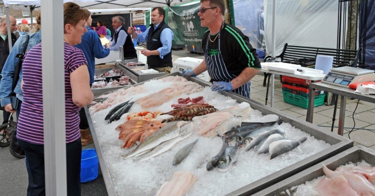 OpenGraph Image for New Hutton study reveals untapped potential in Scottish seafood industry