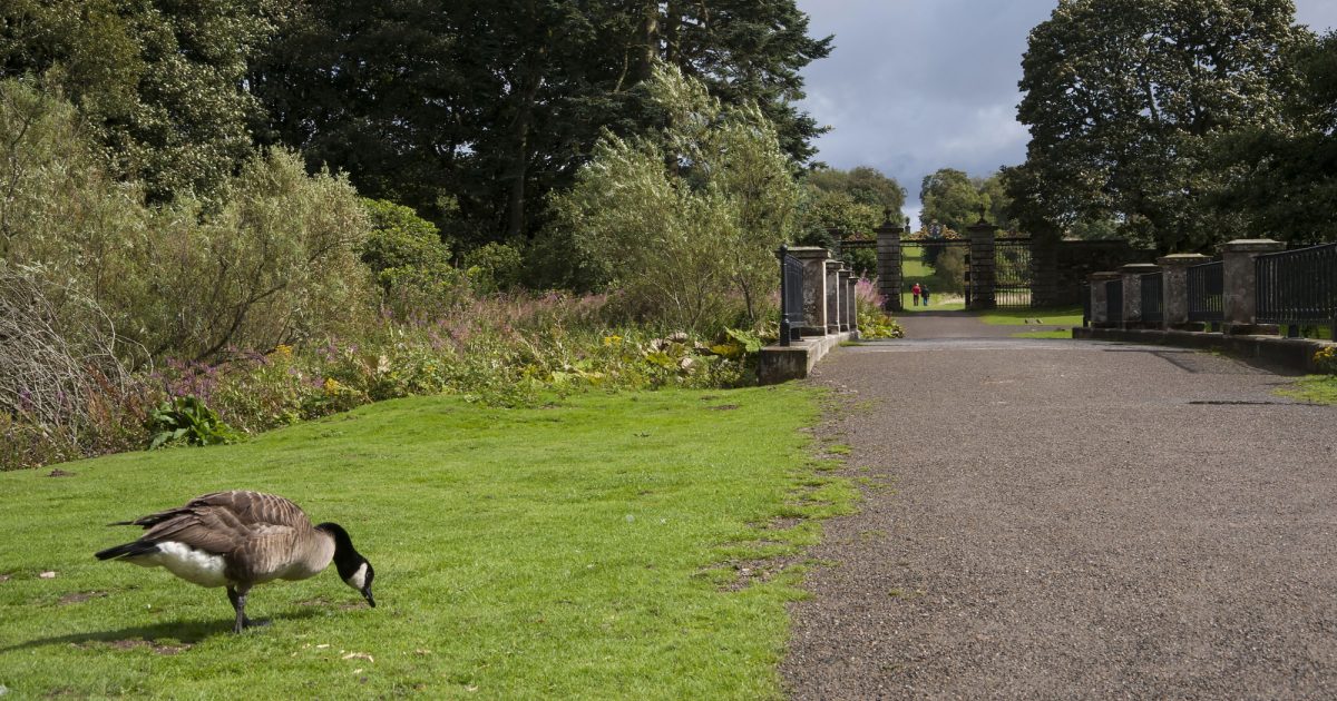 OpenGraph Image for Back-to-back Green Flag Award wins for three Aberdeenshire parks
