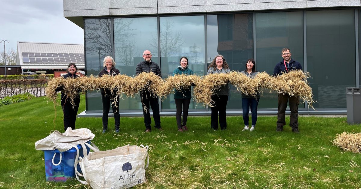 OpenGraph Image for Volunteers from Equinor enable endangered eel migration