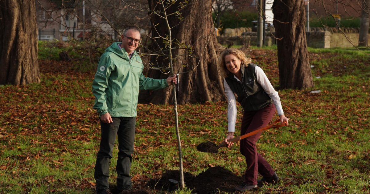 OpenGraph Image for Future Woodlands Scotland and bp sign contract for £10m Urban Forestry Programme as National Tree Week gets underway