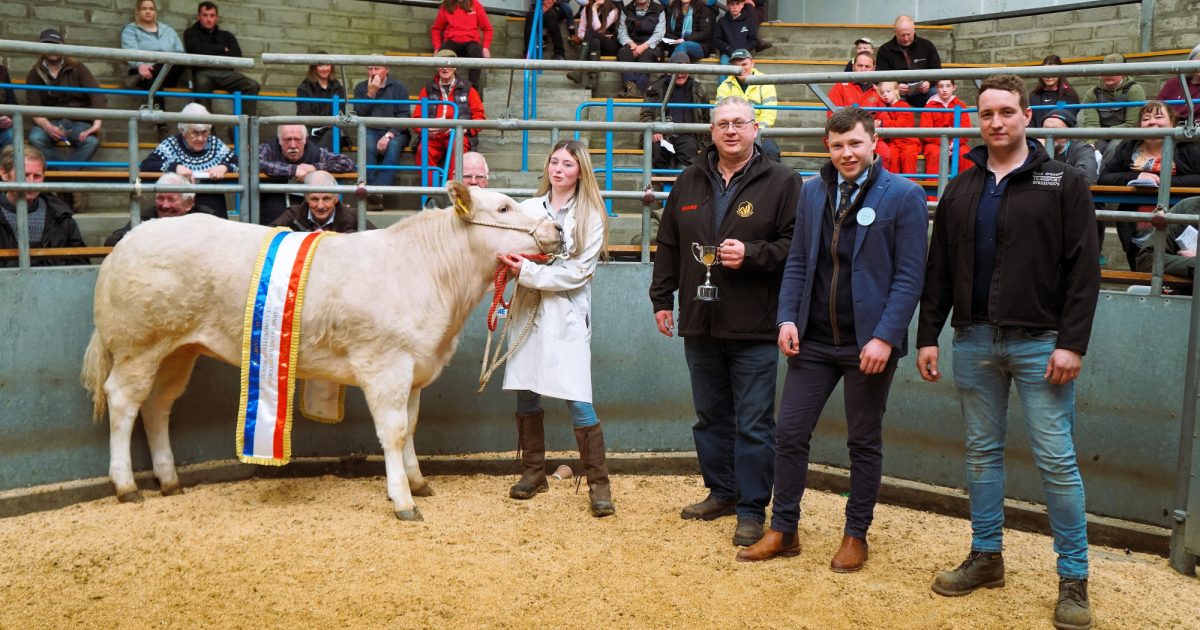 OpenGraph Image for Sophie Tucker takes the championship and top price at Young Farmers Overwintering at Quoybrae
