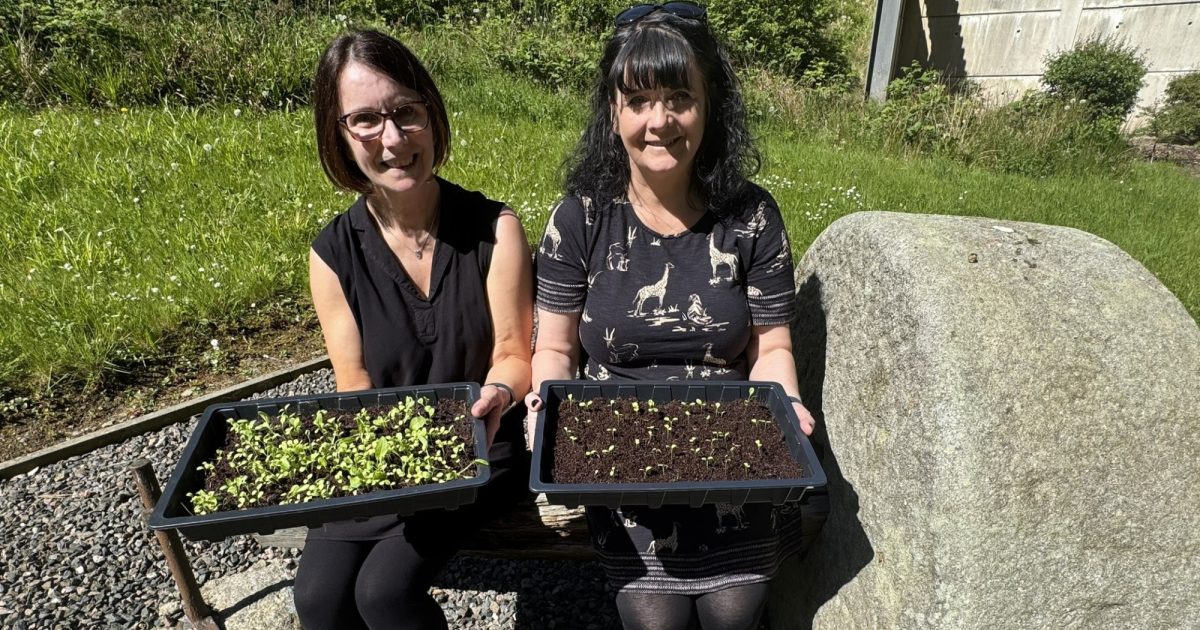 OpenGraph Image for Growing wild: Seeking seed sowers for project exploring food potential of Scotland's underutilised land