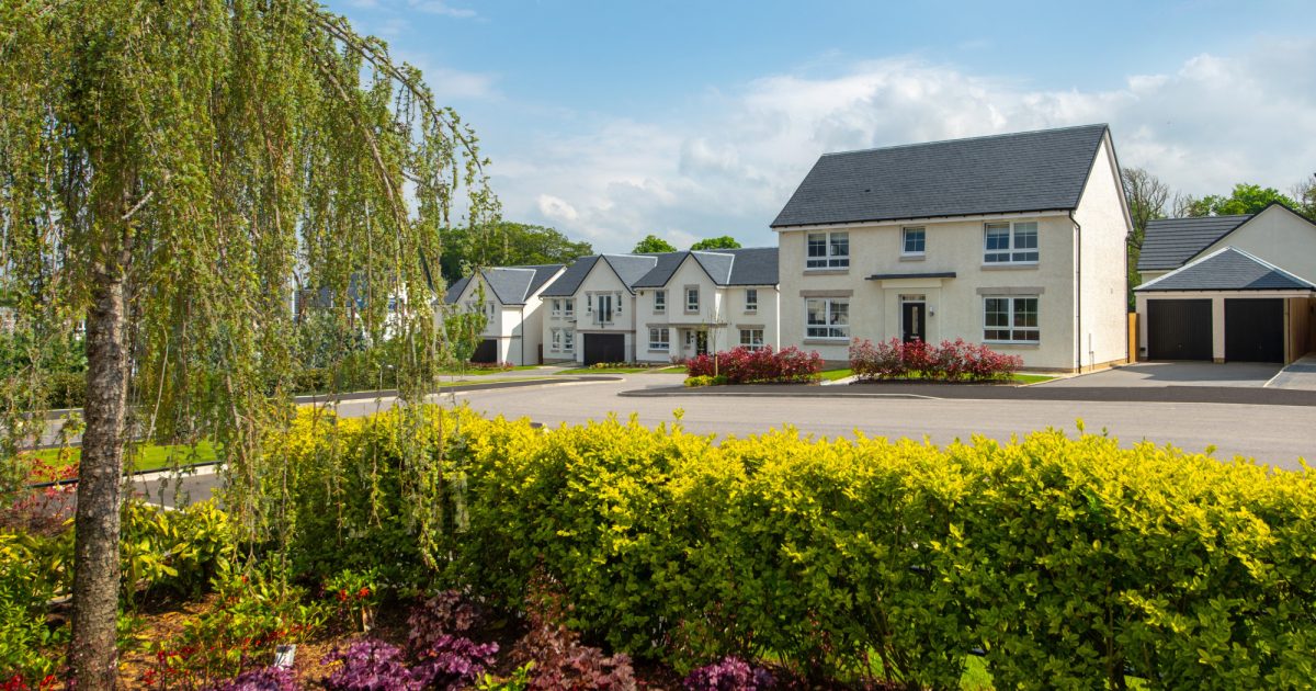 OpenGraph Image for David Wilson Homes launches wildlife photography competition to celebrate Aberdeen’s natural beauty