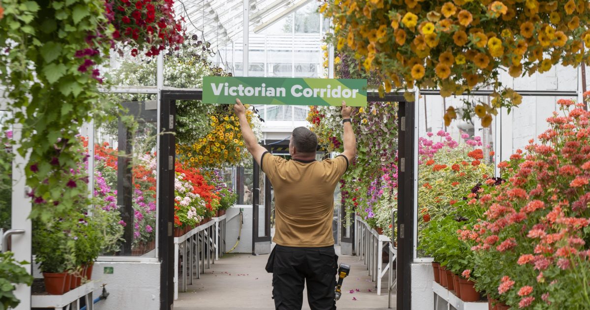 OpenGraph Image for New signage in Winter Gardens as city prepares for judges