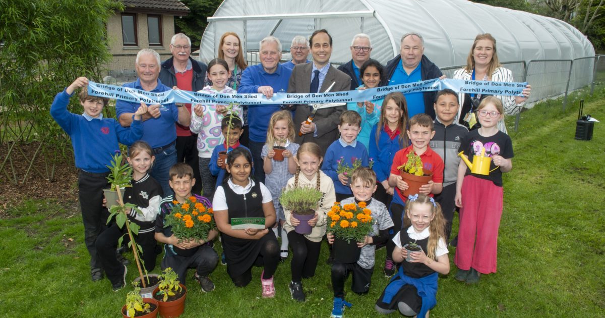 OpenGraph Image for School pupils grow their gardening skills