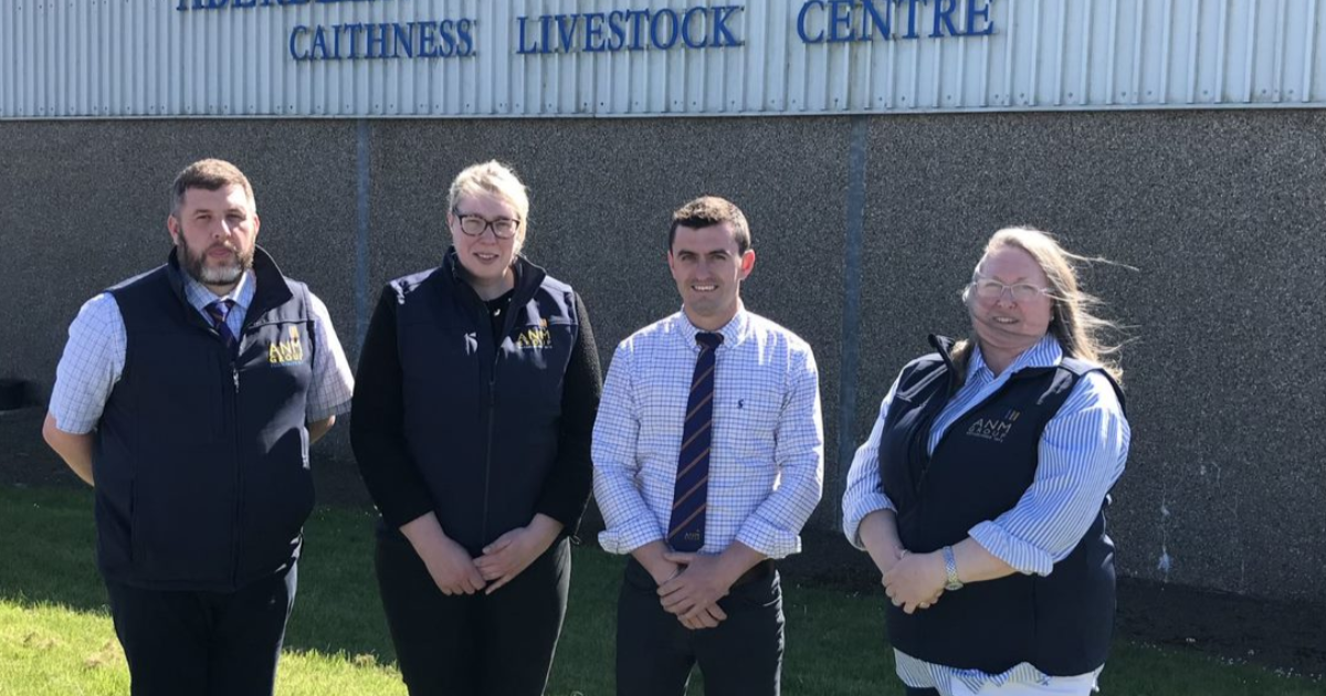 OpenGraph Image for ANM Group strengthens its Caithness Livestock Team