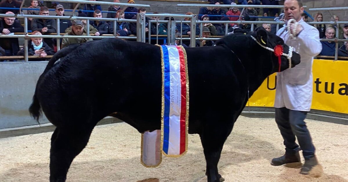 OpenGraph Image for Begg family lead the way at the Caithness Christmas show
