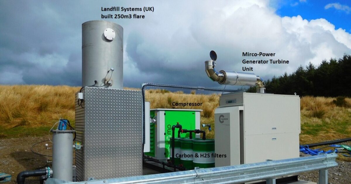 OpenGraph Image for Reed beds protect the environment from landfill leachate water