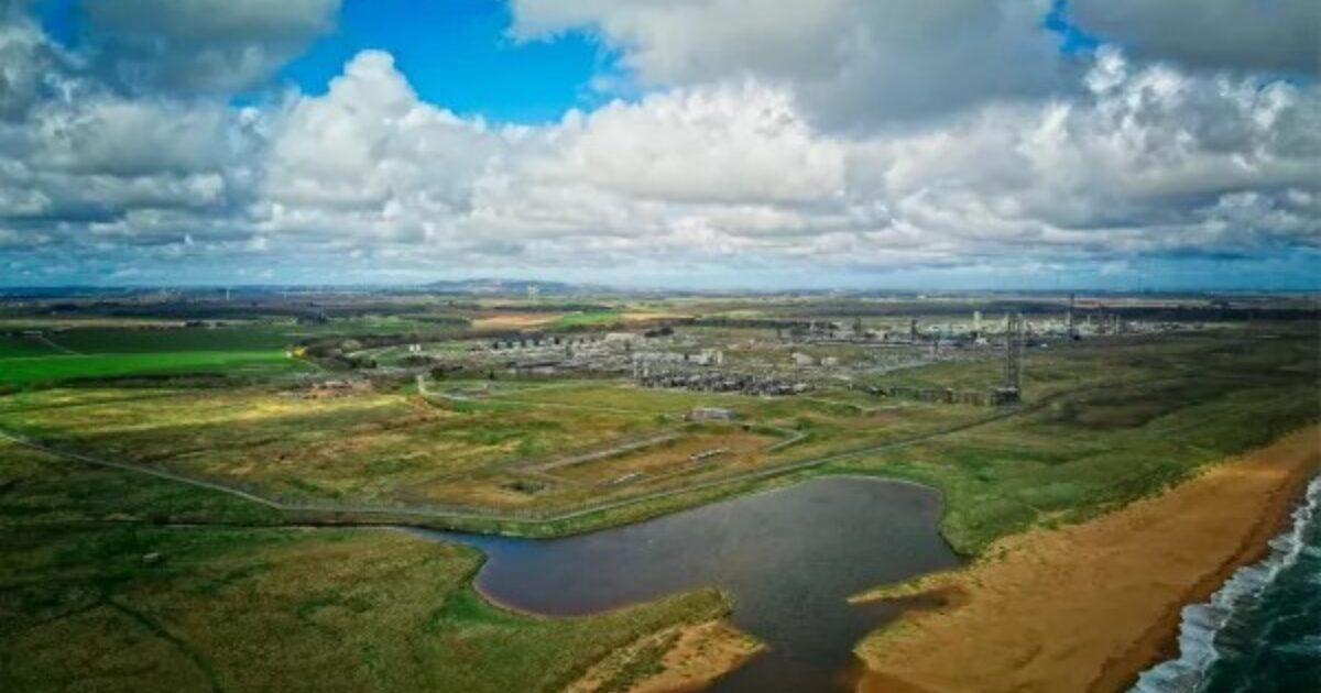 OpenGraph Image for Acorn project signs MoU with Uniper to ship and store captured CO2