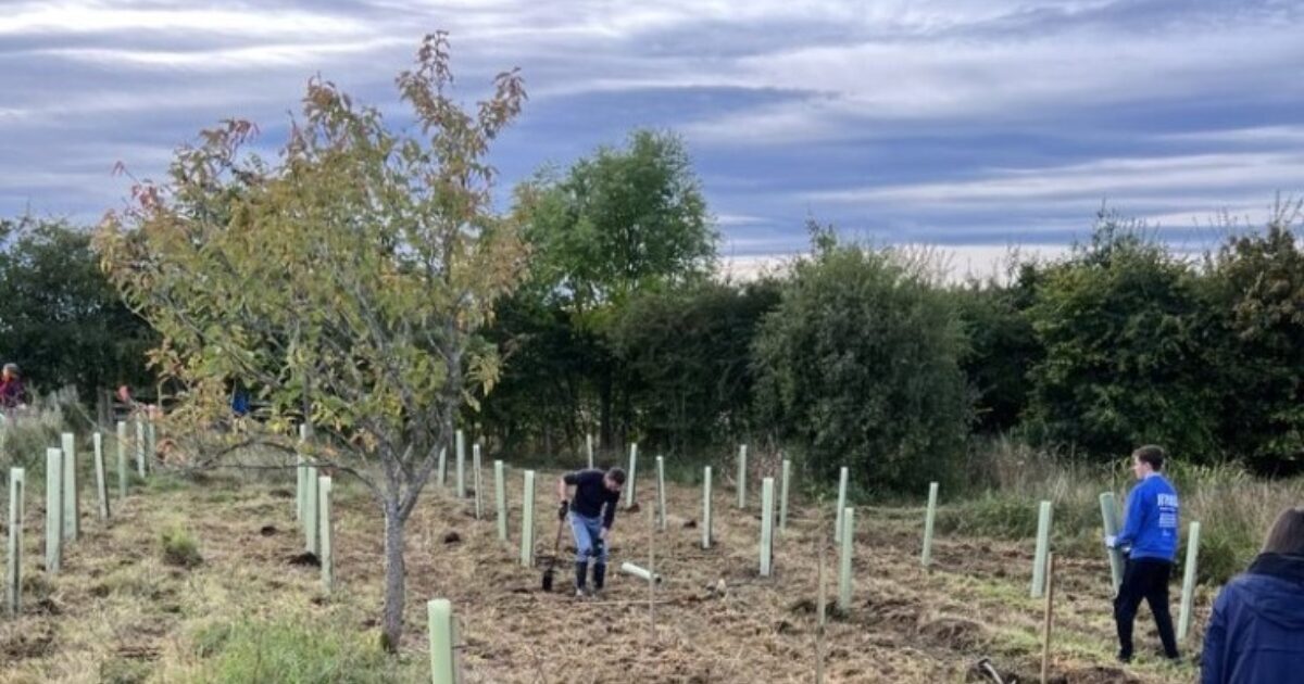 OpenGraph Image for Apache corporation announces inaugural UK Tree Grant Program recipients