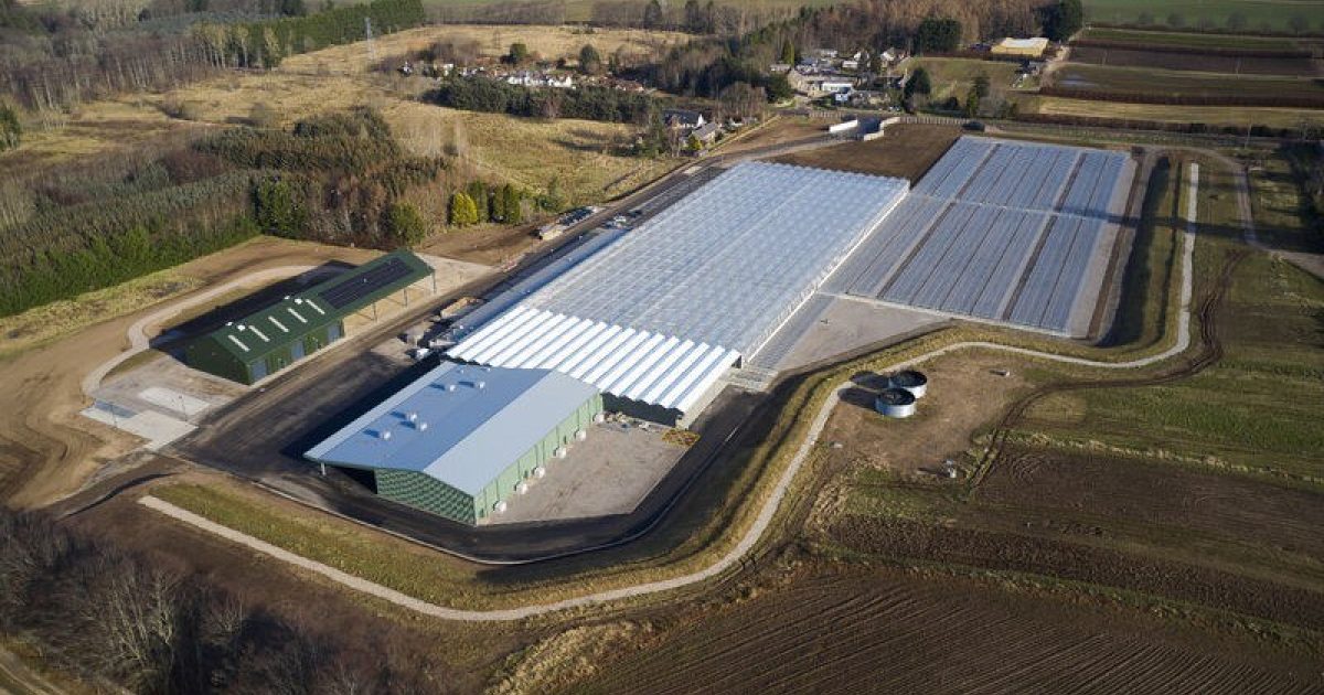 OpenGraph Image for AtkinsRéalis announces handover of state-of-the-art glasshouse