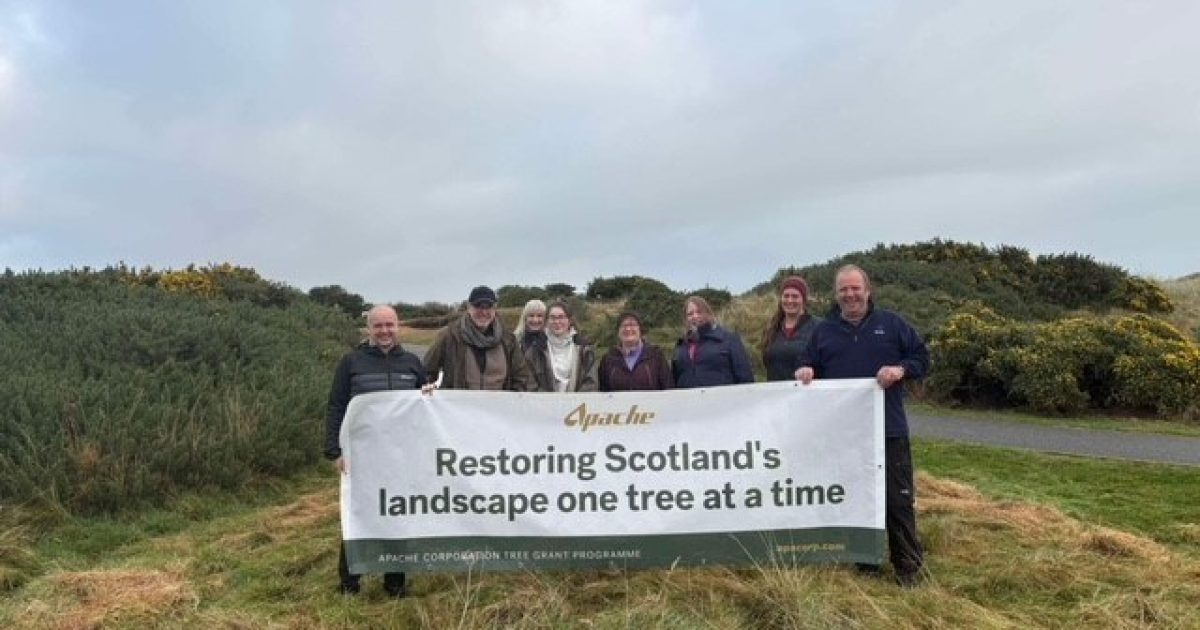 OpenGraph Image for Apache Tree Grant Programme donates over 5,400 trees in Scotland