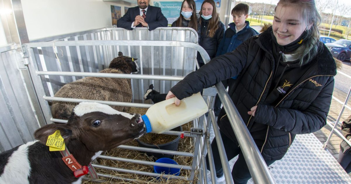 OpenGraph Image for Bucksburn pupils tackle climate change through innovative food sourcing project