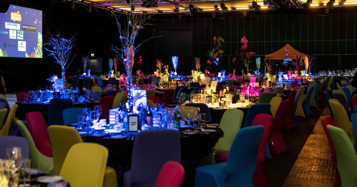 OpenGraph Image for Annual Big Build Ball raises six figures for Charlie House