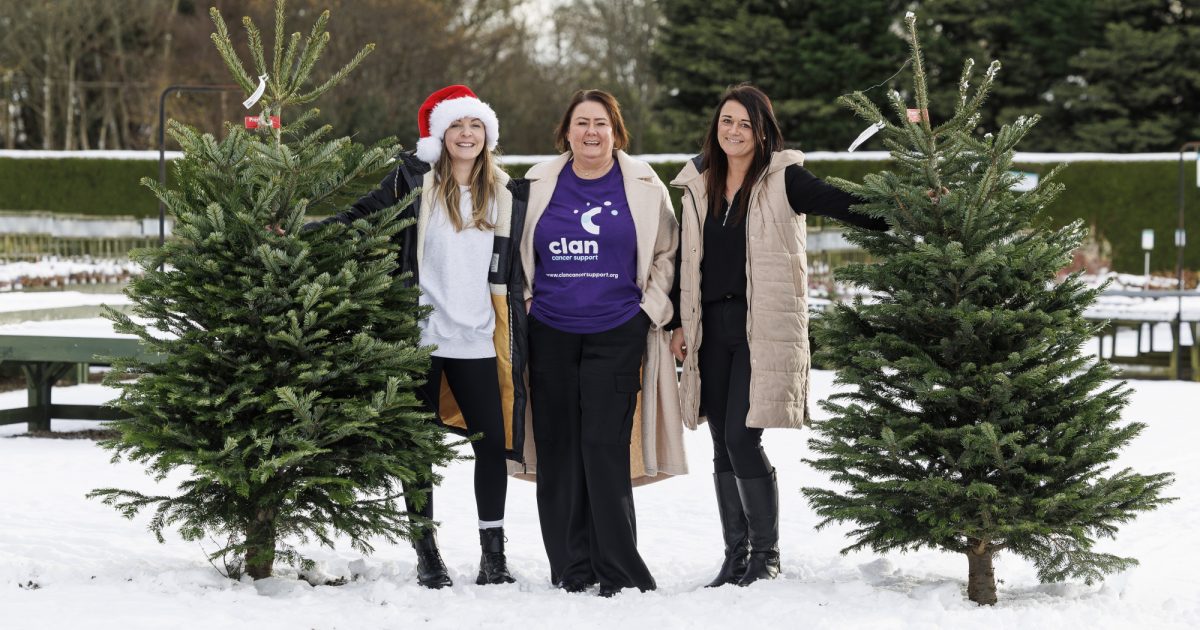 OpenGraph Image for Clan to grow income with Christmas tree collection service