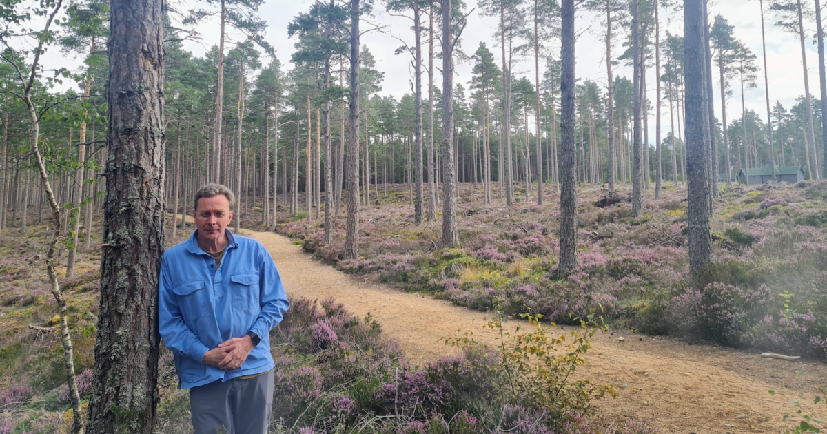 OpenGraph Image for Cairngorm Bothies joins industry leaders for a greener future