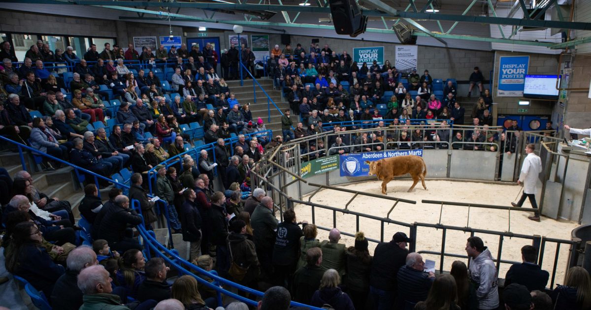 OpenGraph Image for Strong entries across the board for upcoming RNAS Spring Show