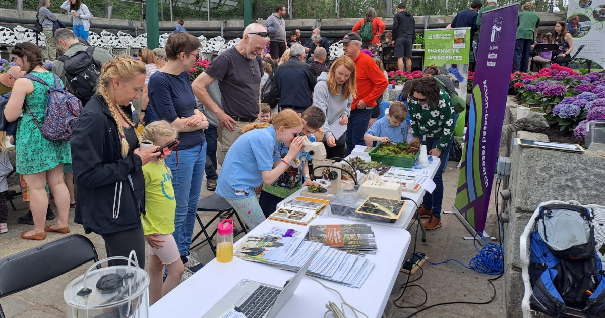 OpenGraph Image for Hutton scientists to host public workshop at Duthie Park for Fascination of Plants Day 2025