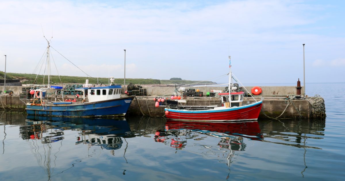 OpenGraph Image for New poll shows Scotland's overwhelming support for fishing sector