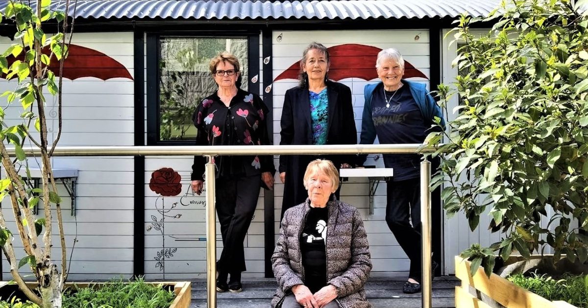 OpenGraph Image for Aberdeen's Graffiti Grannies mission to protect The Green