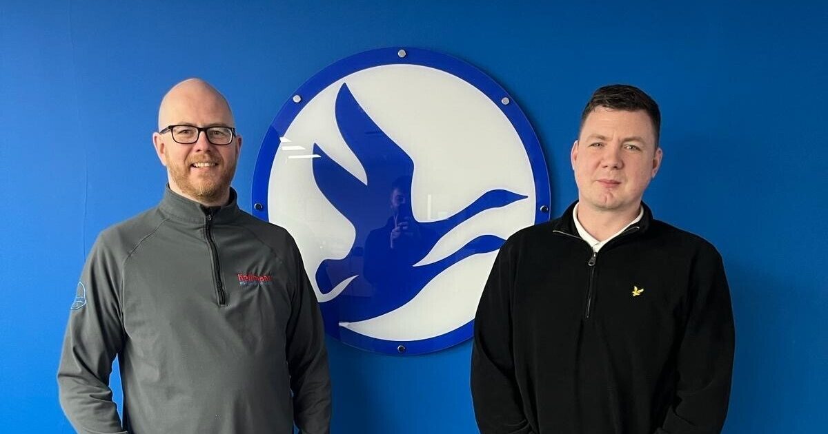OpenGraph Image for Hellmann Worldwide Logistics appoint new OCTG Manager