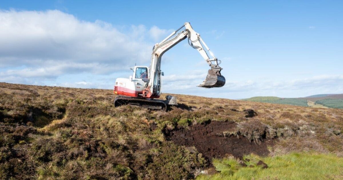 OpenGraph Image for Policy playing catch up on Scotland’s green investment boom