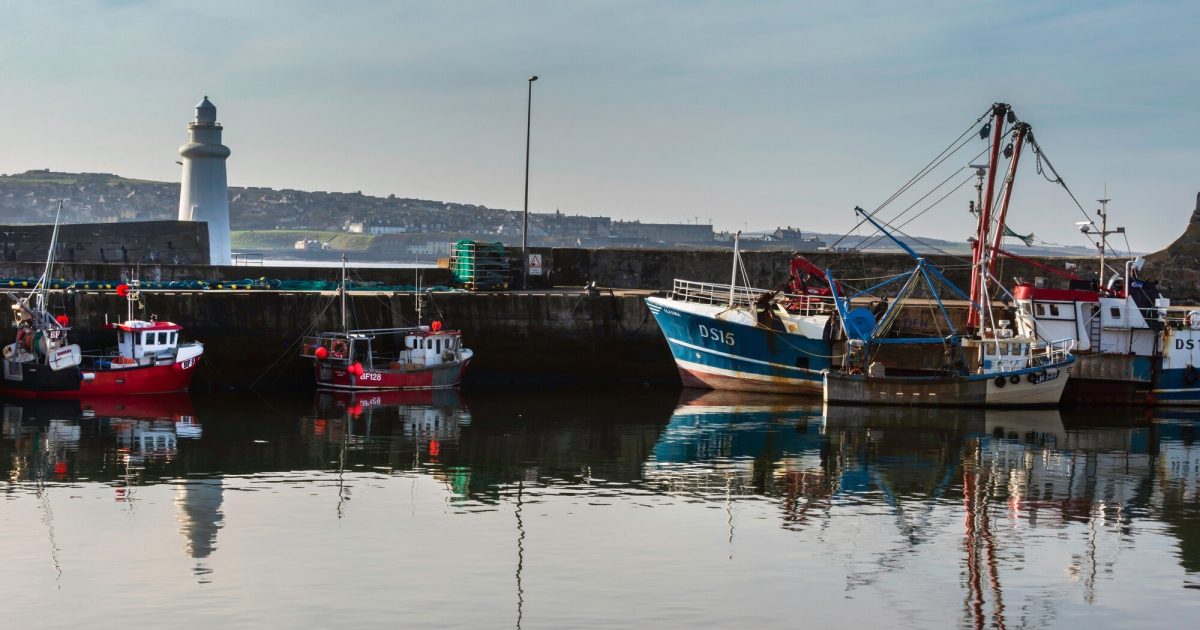 OpenGraph Image for £500,000 of improvements and repairs underway at Macduff and Stonehaven harbours