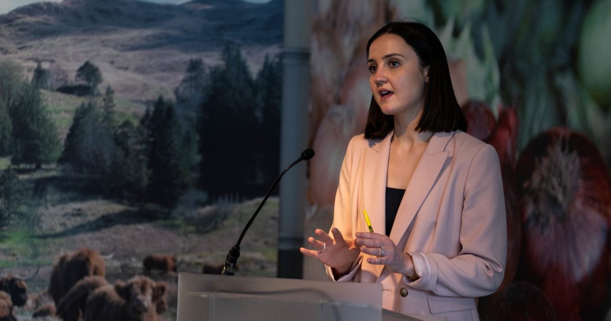 OpenGraph Image for Mairi McAllan: There's no presumption against oil and gas