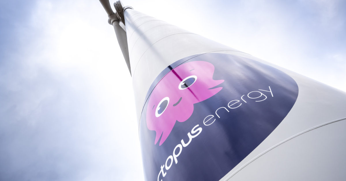 OpenGraph Image for Octopus Energy buying smaller competitor Bulb