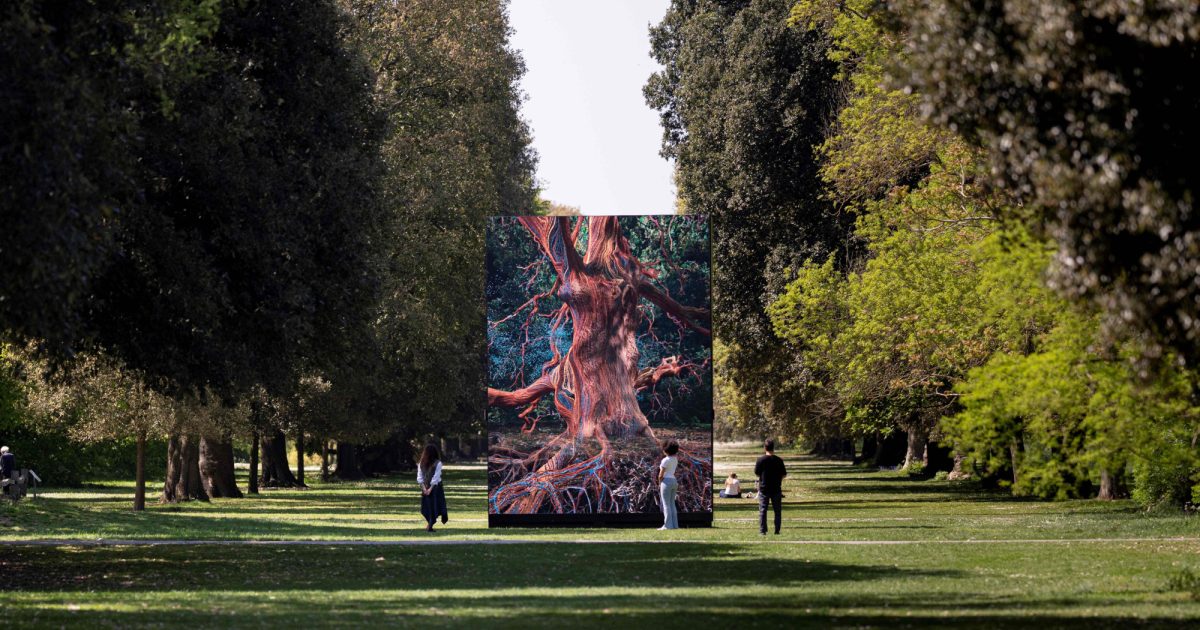 OpenGraph Image for Hutton research inspires artists behind digital installation at the Royal Botanic Gardens, Kew