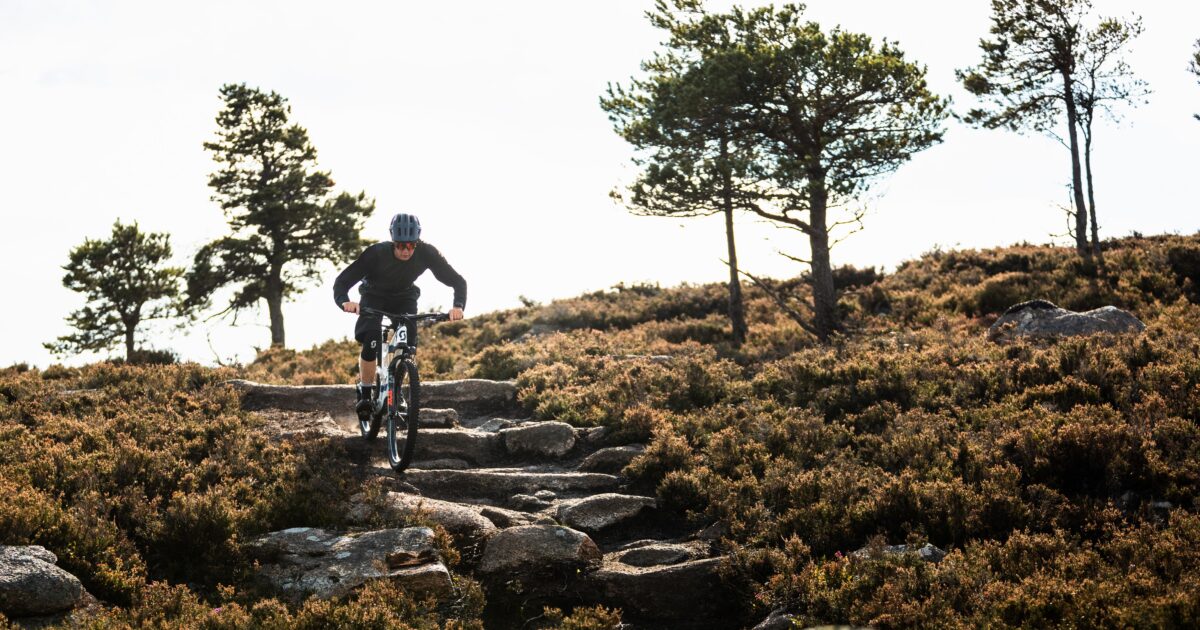 OpenGraph Image for Industry charts progress towards delivering adventure tourism ambition