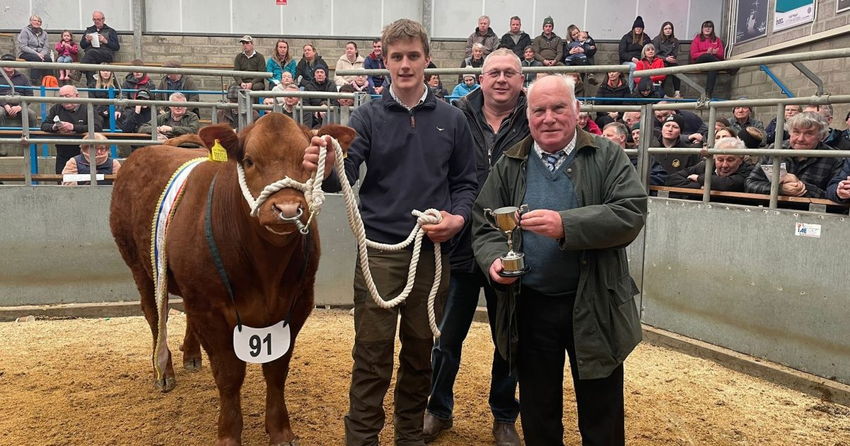 OpenGraph Image for James Swanson takes home the championship at Caithness Young Farmers Overwintering Competition