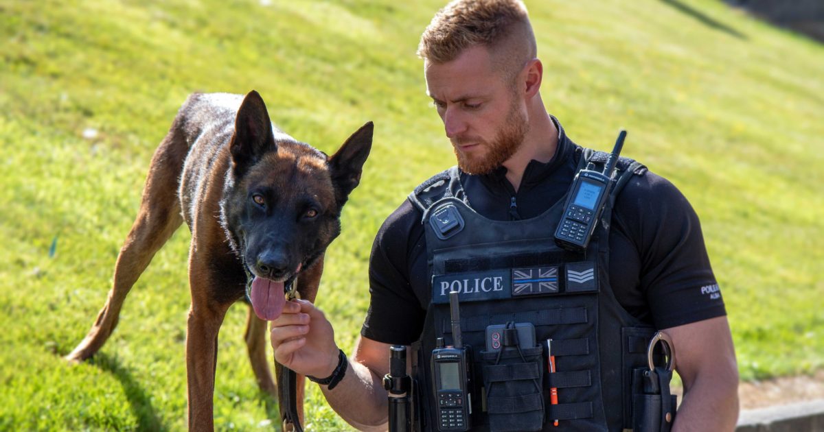 OpenGraph Image for Hero Police Dog Zeus returns to NESCol for Student ‘Pawtrait’ Competition