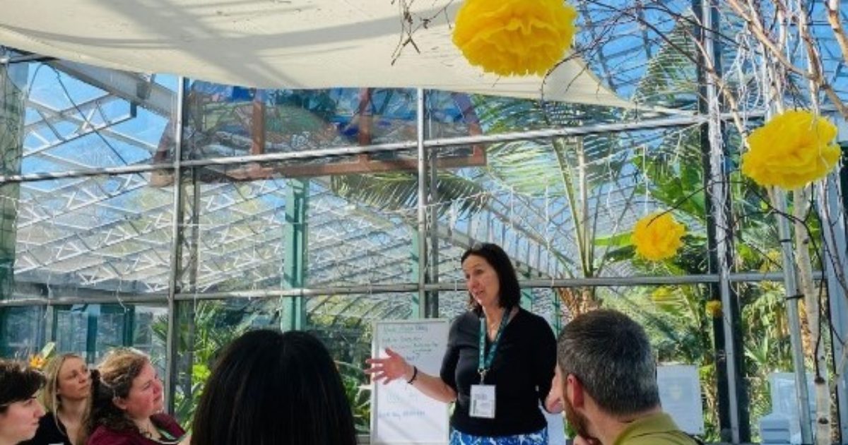 OpenGraph Image for People Planet Pastry: Empowering small businesses to embrace sustainability