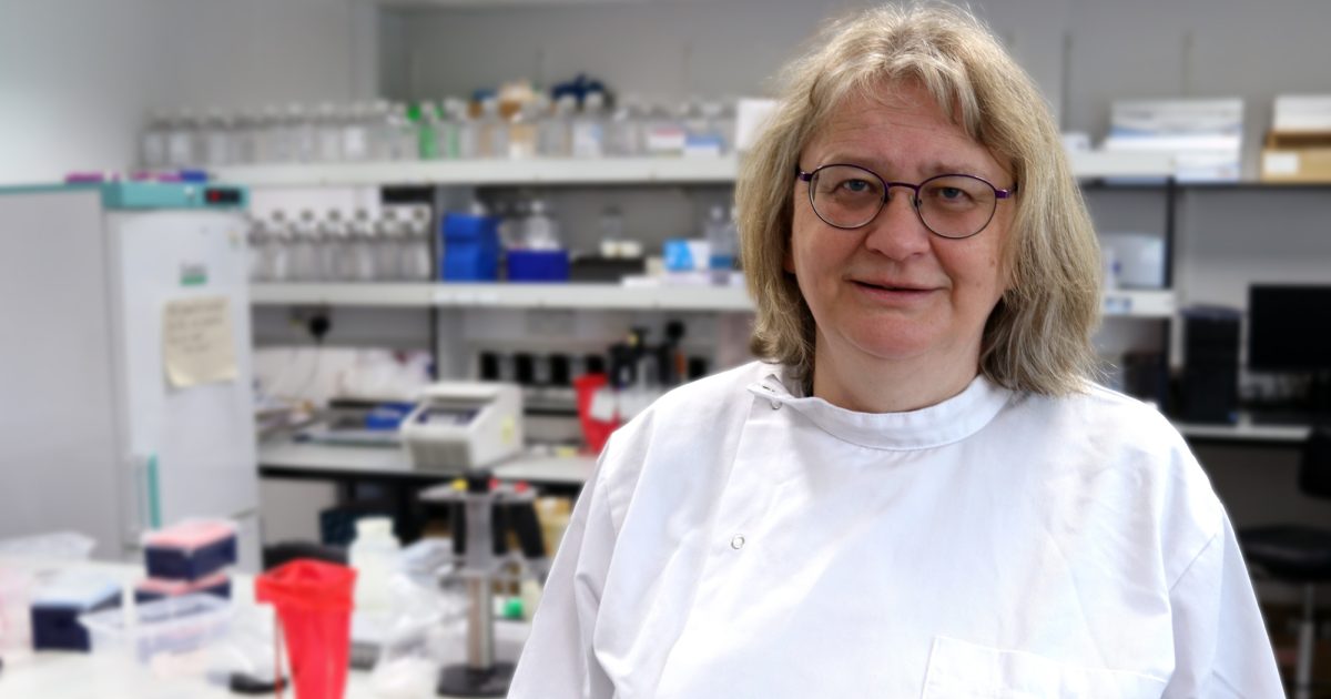 OpenGraph Image for True number of people living with Huntington’s disease gene in Northern Scotland revealed