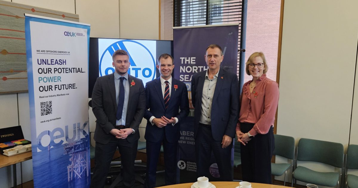 OpenGraph Image for Parliamentary briefing addresses future of UK energy sector