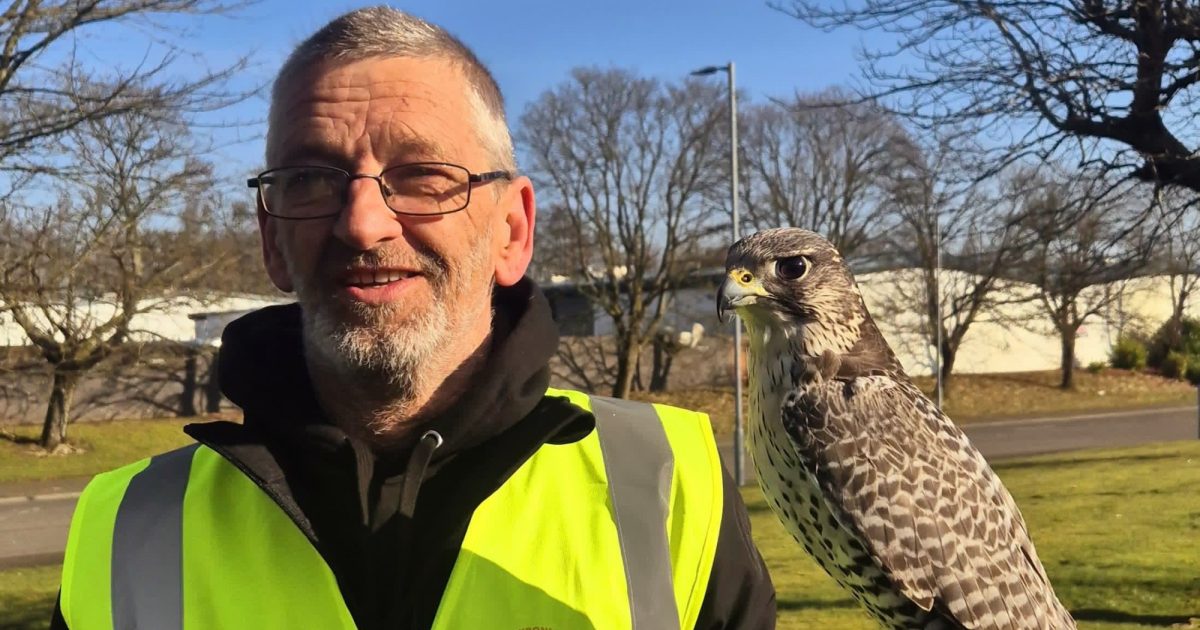 OpenGraph Image for LPPC Environmental brings three new team members on board to support expansion