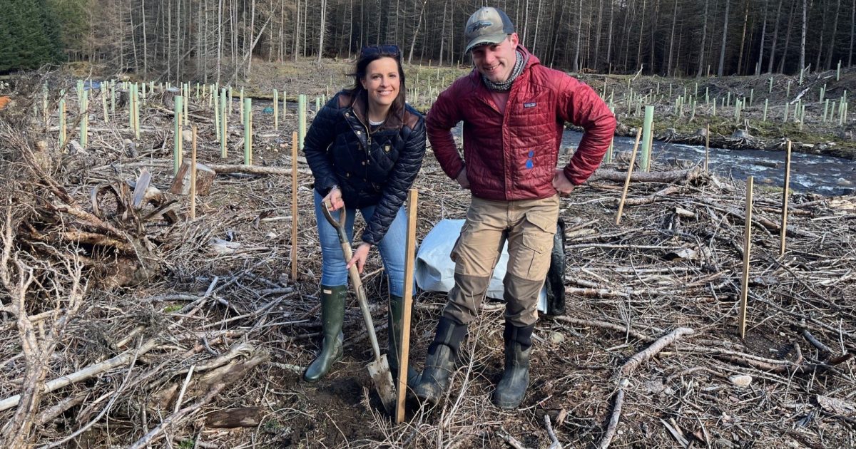 OpenGraph Image for Two-week application extension for Apache Corporation Tree Grant Programme