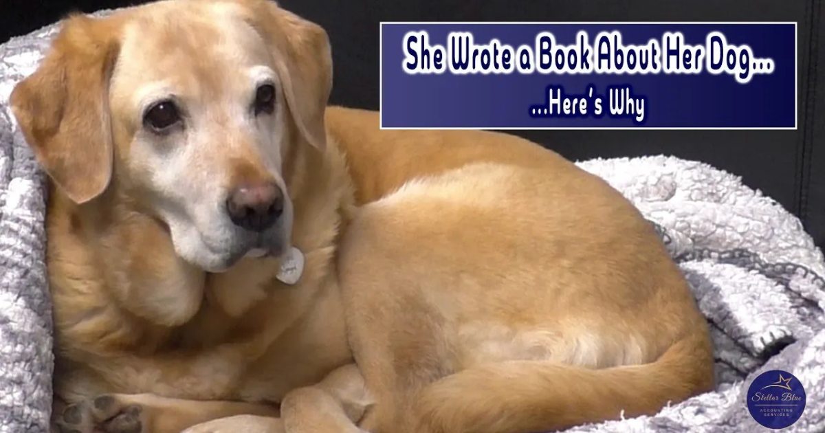 OpenGraph Image for Aberdeen accountant and author Sara Smith shares story behind 'Ruby The Loveable Labrador'
