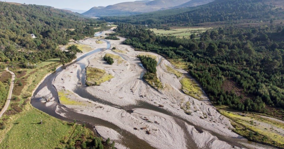 OpenGraph Image for Key Scottish sectors warned of doubling of drought events by 2050