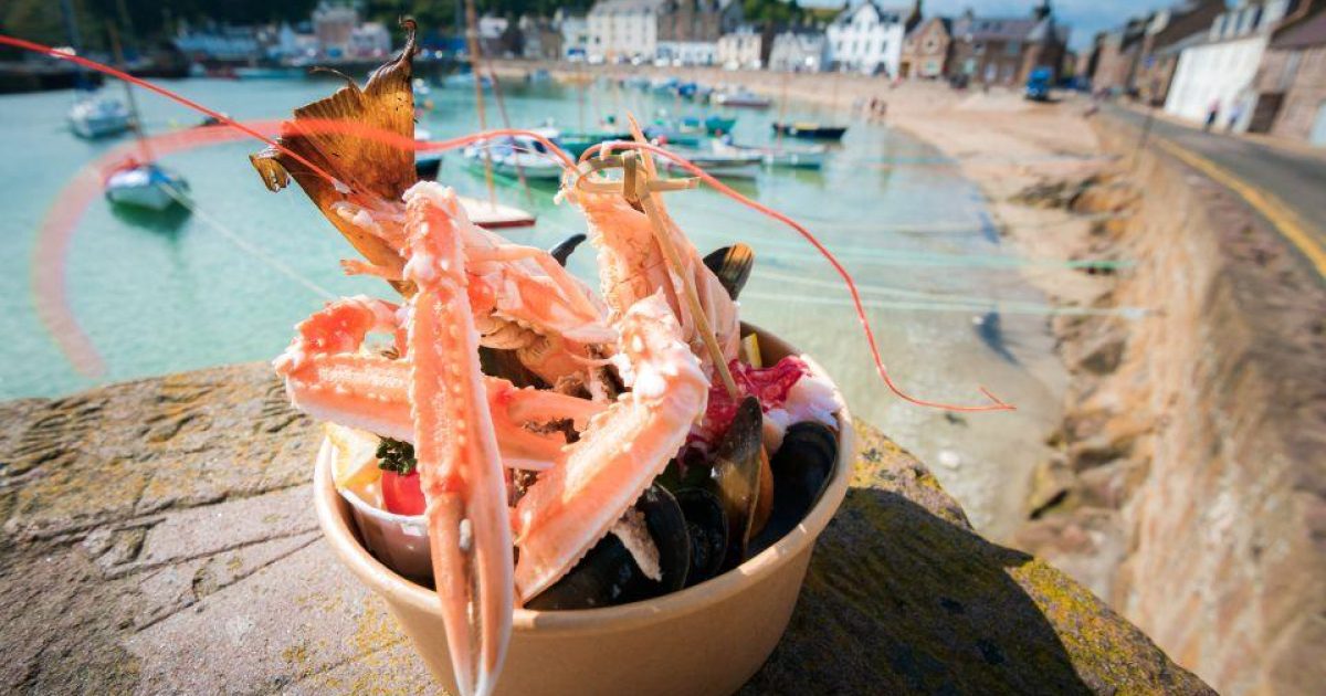 OpenGraph Image for VisitAberdeenshire, Loganair and Fettercairn Distillery join forces to celebrate North-east food and drink with a ‘Destination Delicious’ visitor campaign