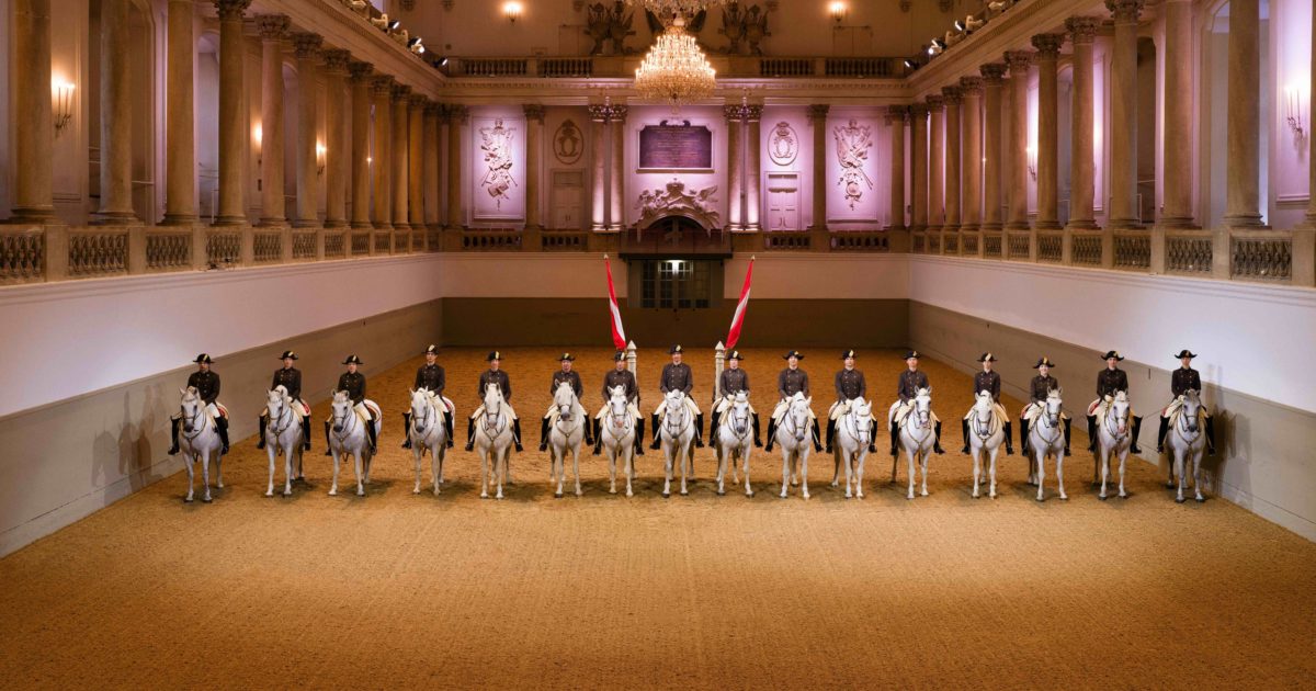 OpenGraph Image for Iconic Spanish Riding School announces first UK tour in eight years with dates in Aberdeen