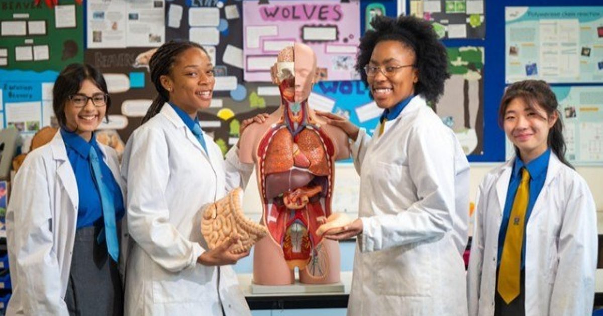 OpenGraph Image for Empowering girls: Transforming futures through bursaries