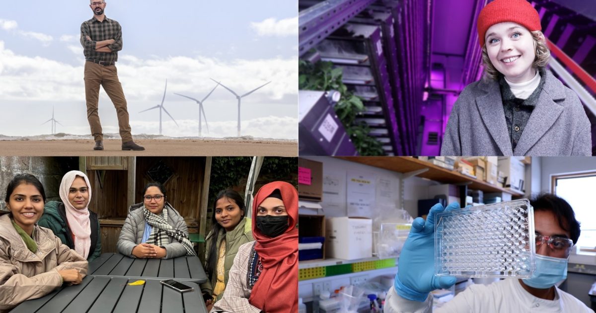 OpenGraph Image for Aberdeen climbs into UK top 10 and World Top 50 in new Impact rankings