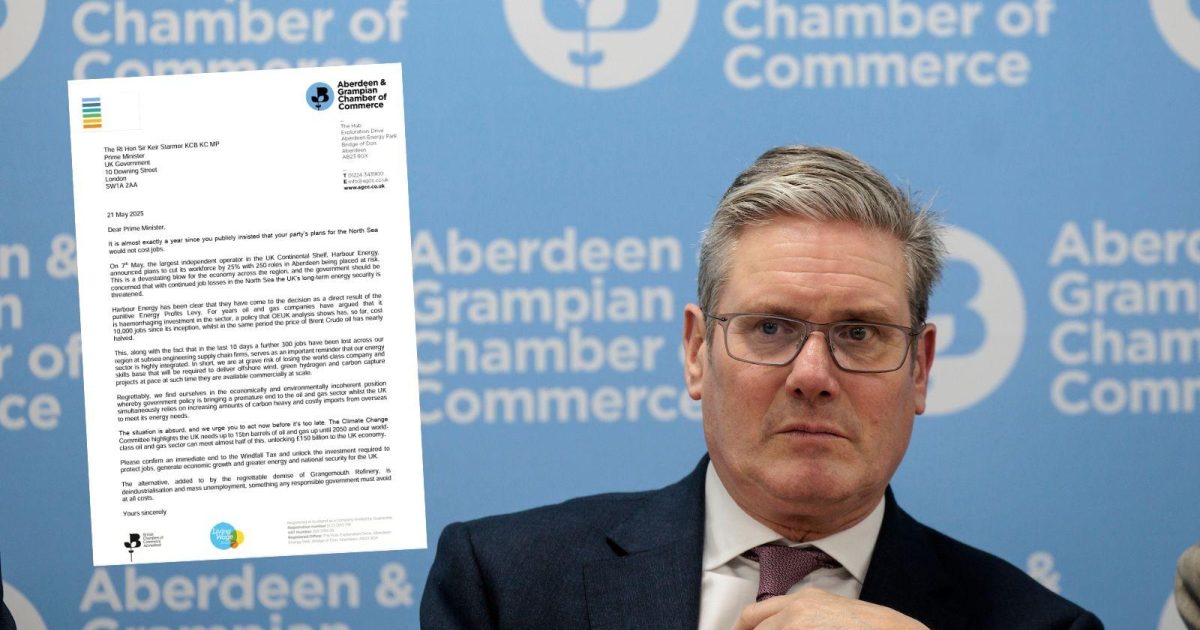 OpenGraph Image for 2,500+ business figures call for an end to windfall tax as report shows it will lose UK money