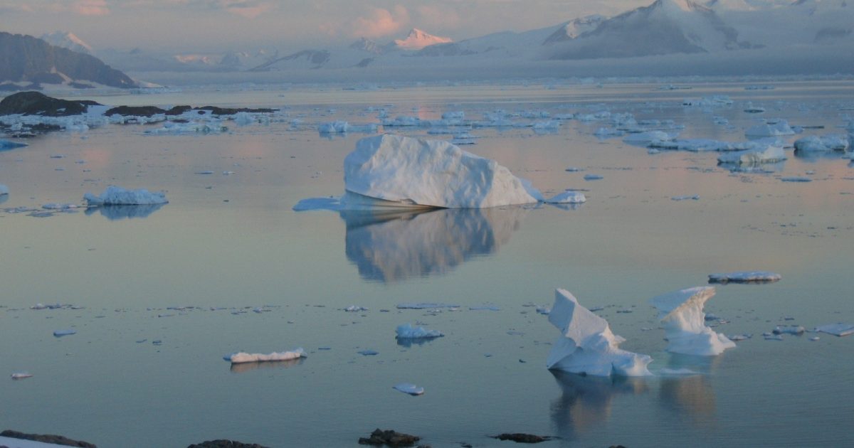 OpenGraph Image for Secret to being happy as a clam: Scientists find genes to survive extremes and live long in Antarctic clam