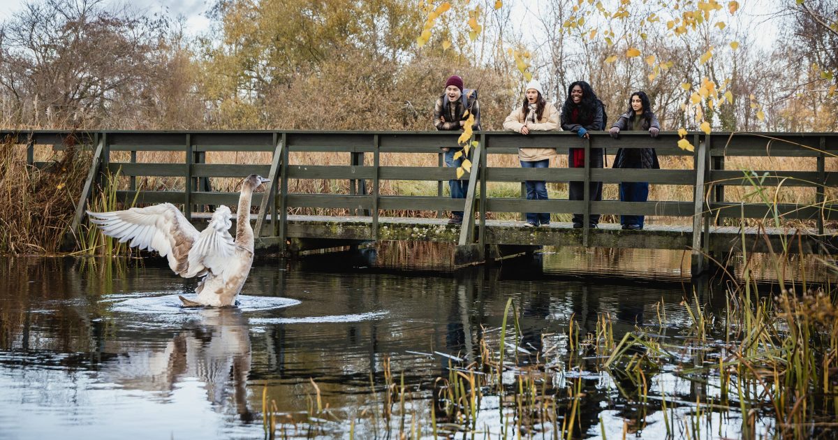 OpenGraph Image for Elior UK appointed catering partner to WWT London Wetland Centre in five-year partnership supporting conservation and visitor experience