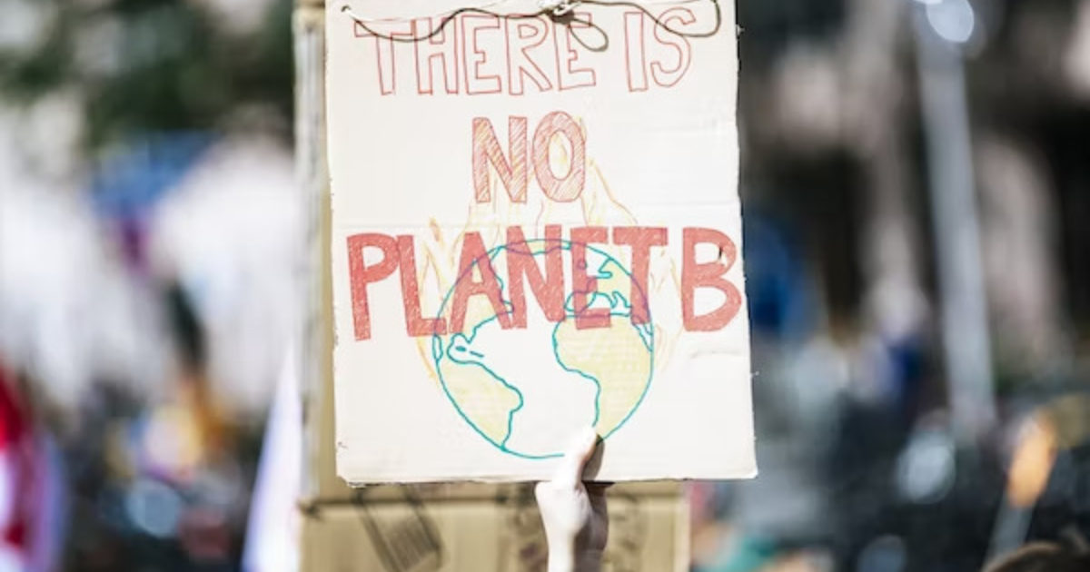 OpenGraph Image for Top UK banker criticises climate protesters
